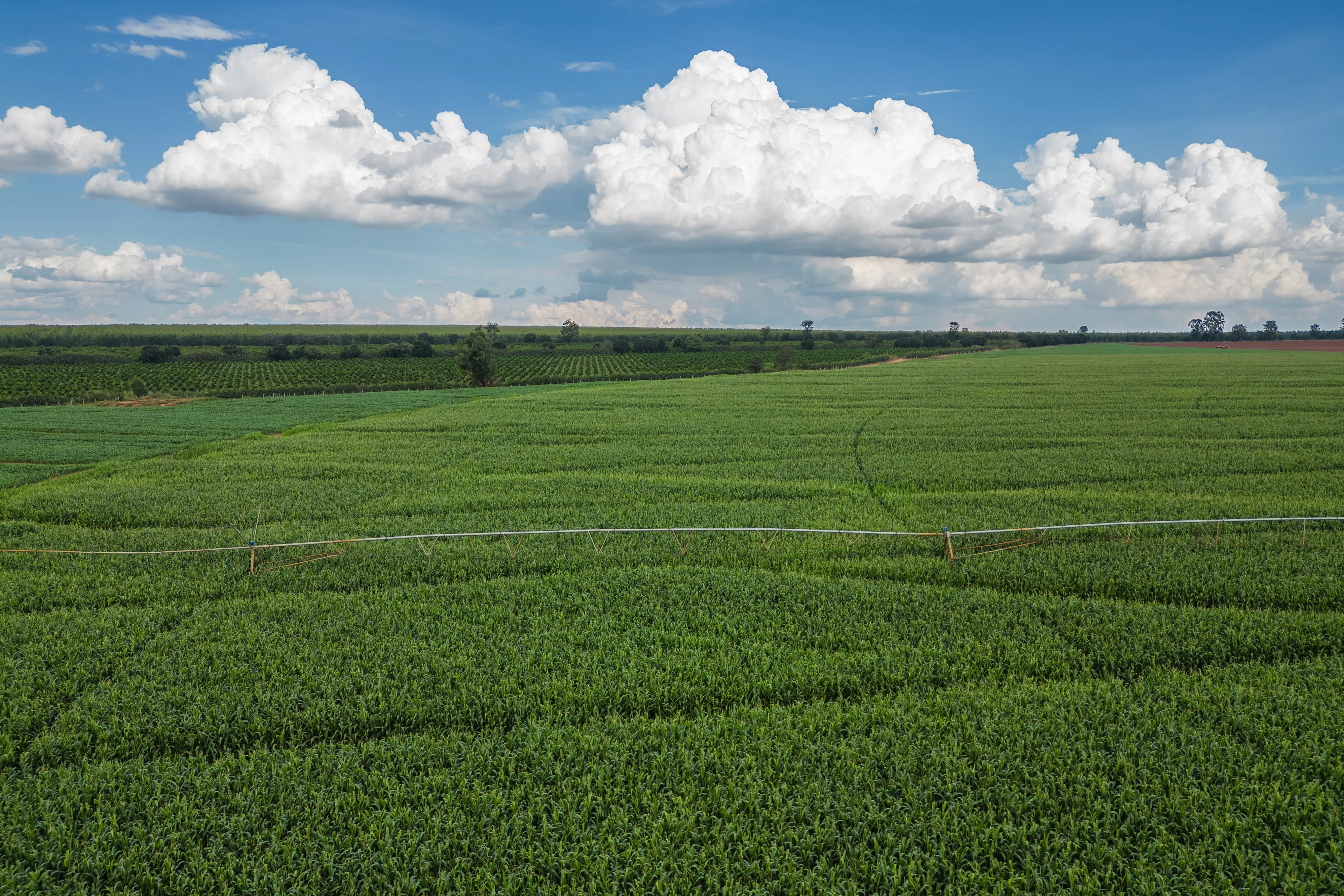 Vegetation Change Reports